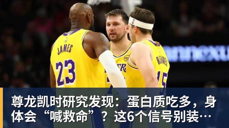 尊龙凯时研究发现：蛋白质吃多，身体会“喊救命”？这6个信号别装看不见
